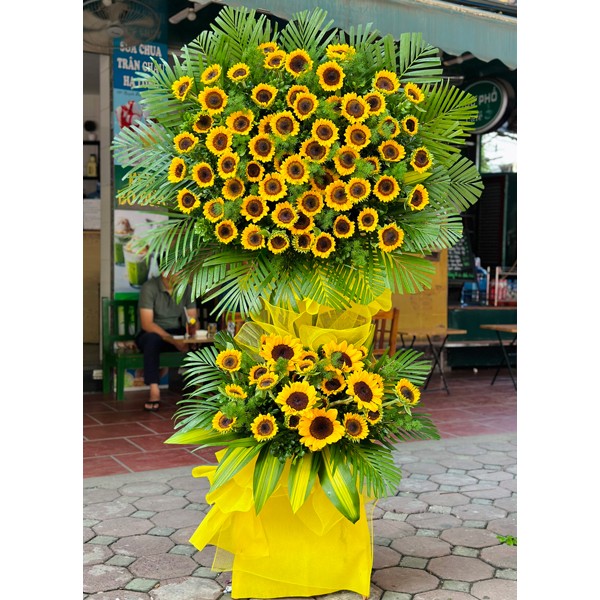 Hoa khai trương